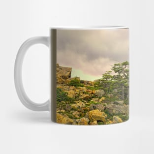 A natural Patagonian bonsai Mug